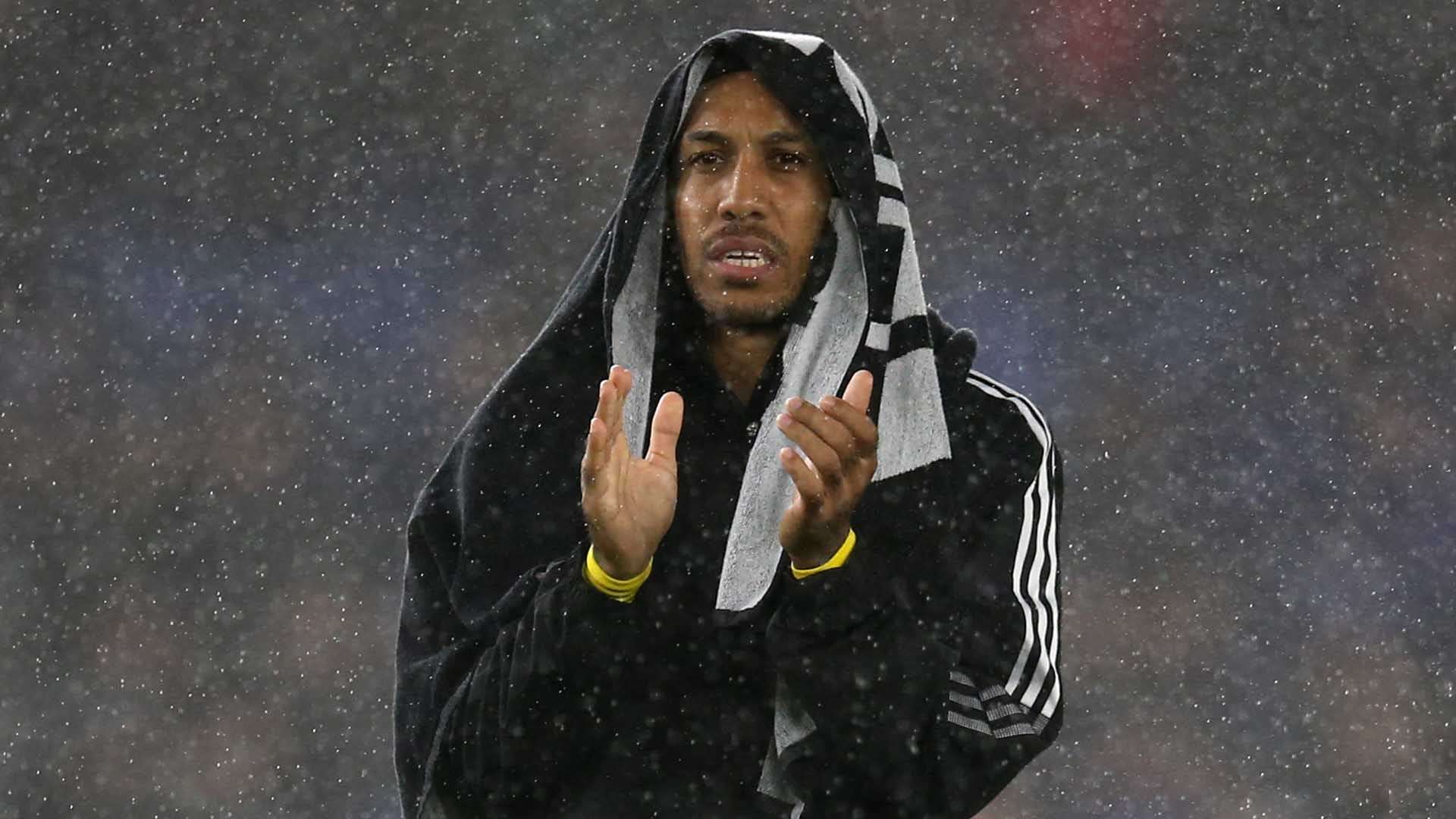 一个原因 一个原因